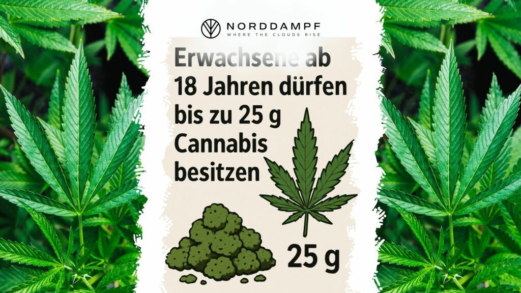 Cannabis Rechtslage in Deutschland (Seit 2024)