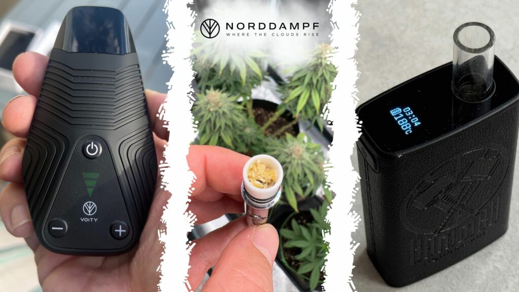 Häufige Fragen vom Konsum von Cannabis