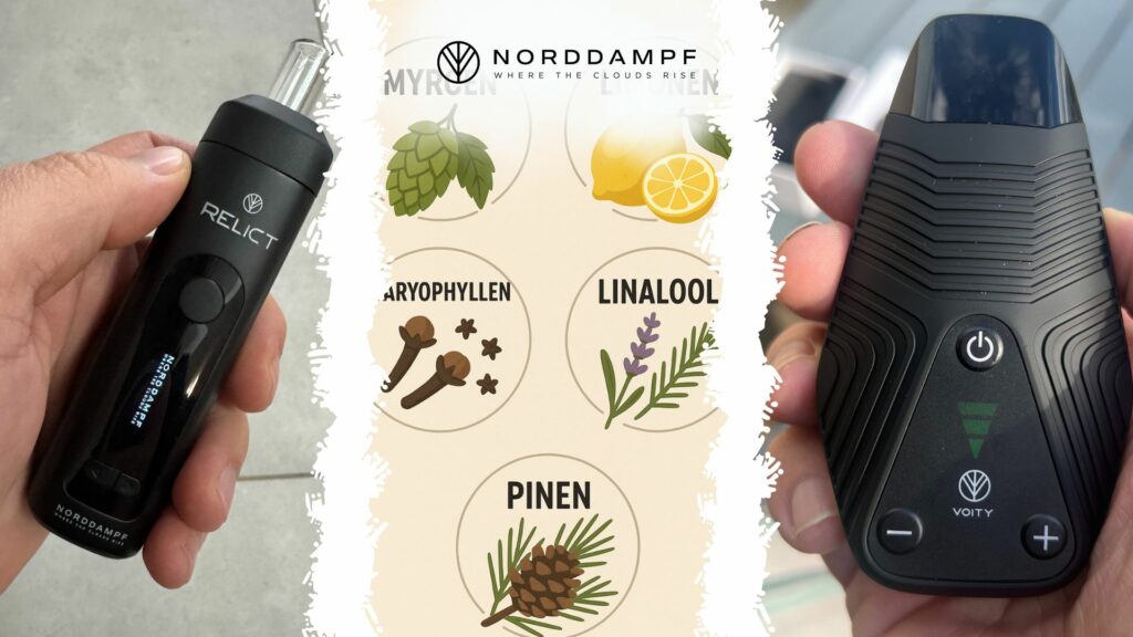 Verschiedene Terpene für deinen Vaporizer