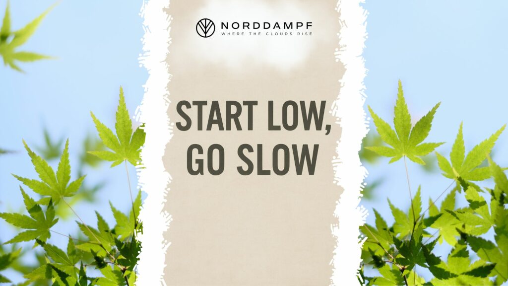 Start low, go slow - die richtige Dosierung von Cannabis ist wichtig