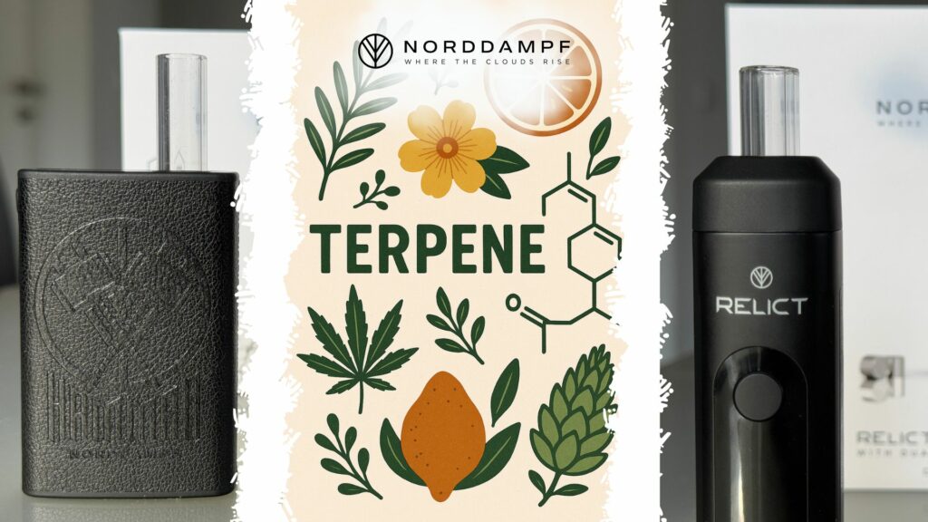 Der Geschmack kommt von den Terpenen