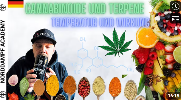 Cannabinoide Titelbild