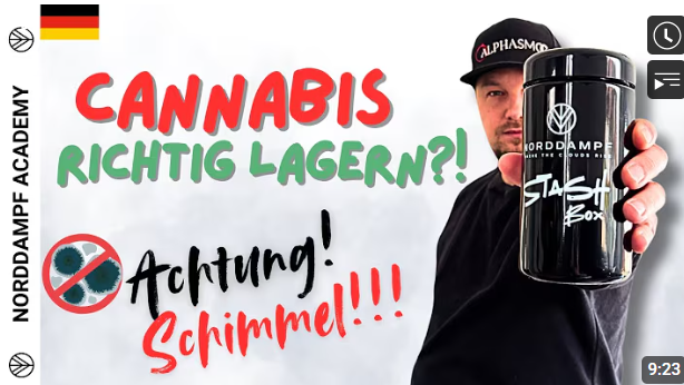 Kräuter richtig aufbewahren