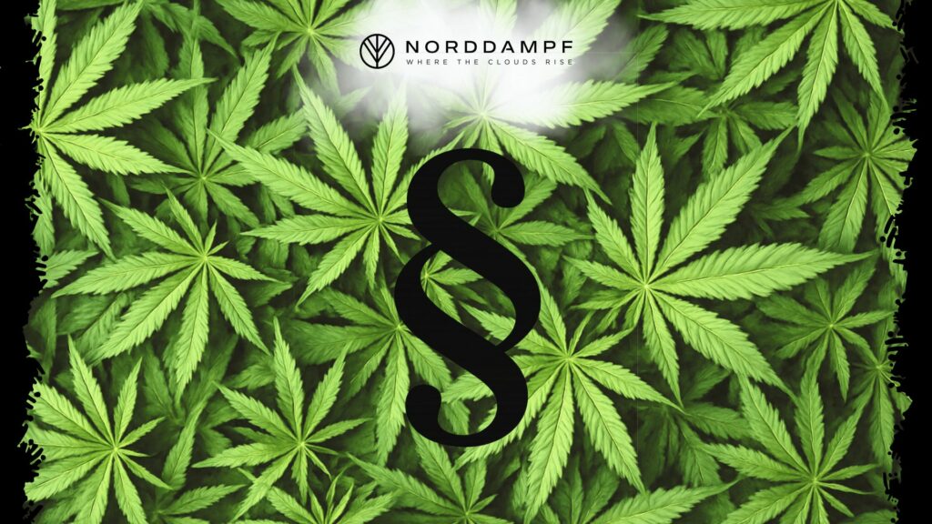Was du über das Cannabisgesetz wissen musst