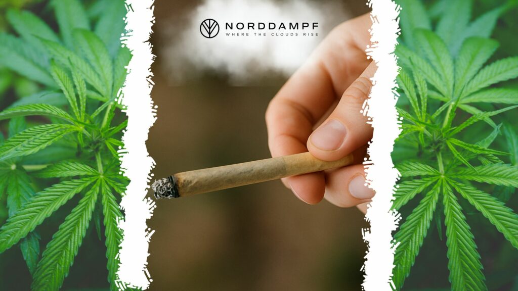 Cannabis rauchen