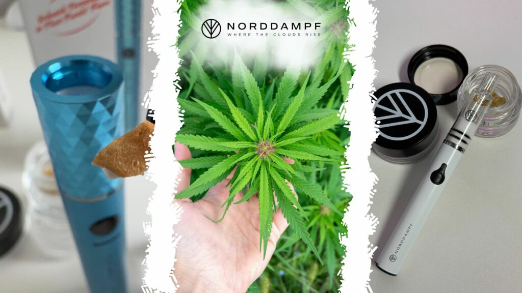 Fazit von uns als Vaporizer Experten