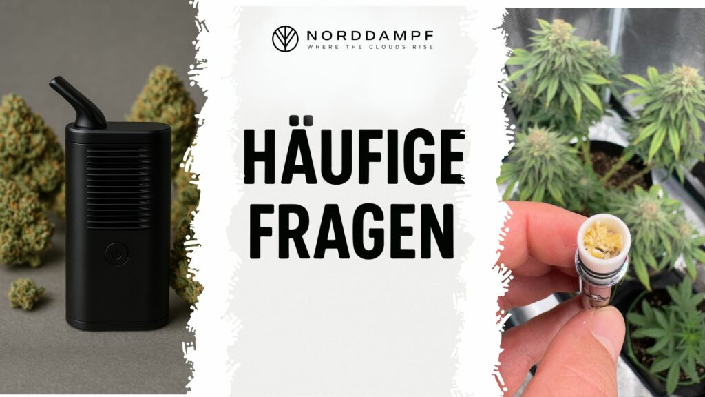 Häufige Fragen zu Vaporizern für Hanfblüten
