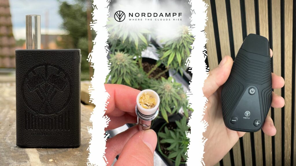 Die Wirkung von Cannabis