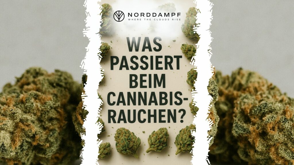 Was beim Cannabis rauchen passiert