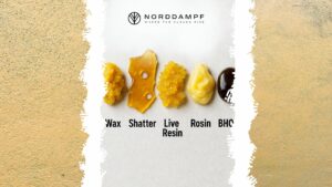 Dab Pen Mini Anleitung – Dein kostengünstiger Einstieg in die Welt der Extrakte