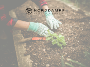 Wie kannst du einen Cannabis Social Club eröffnen?