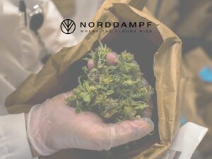 CBG vs. CBD: Was unterscheidet die beiden Cannabinoide?