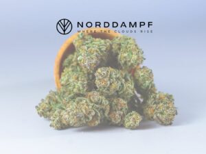 Cannabis richtig curen: Wie optimierst du Geschmack & Wirkung – ohne in Fallen zu tappen?