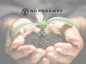 Smart Grow: High-Tech & Nachhaltigkeit zuhause