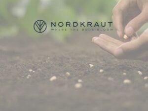 Die besten Cannabis-Sorten für Anfänger – Seed-Auswahl leicht gemacht