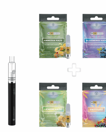 Dab Pen CBD Bundle