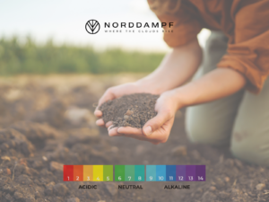 Cannabis pH-Wert messen und korrigieren: Der Schlüssel zur Nährstoffaufnahme