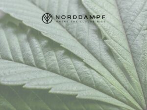 Der CBG-Hype – was ist dran am „Mutter-Cannabinoid“?