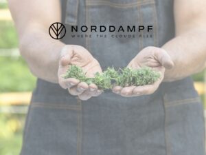 Cannabis Social Clubs in Deutschland: Status 2025 – Was gilt, was kommt?