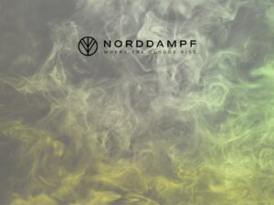 Vape-Pen vs. Vaporizer Final