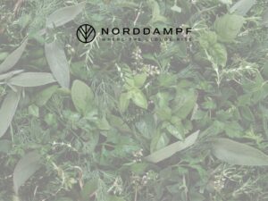 Bio-Kräuter im Vaporizer