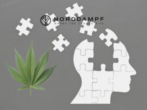 Einfluss von CBD auf das Gedächtnis