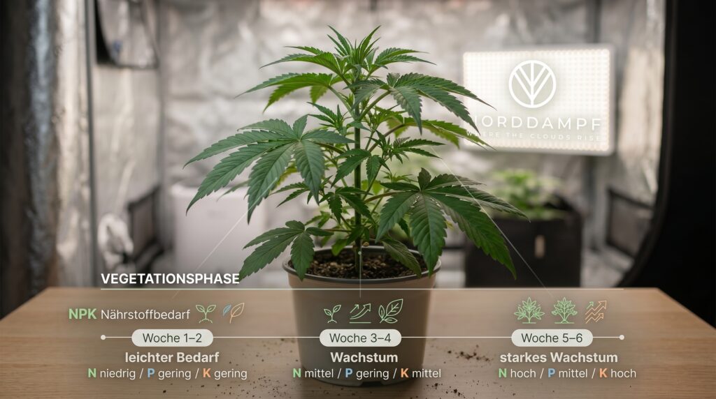Cannabis nutrient requirements change over the course of its life cycle. The NPK ratio is also adjusted over time. 