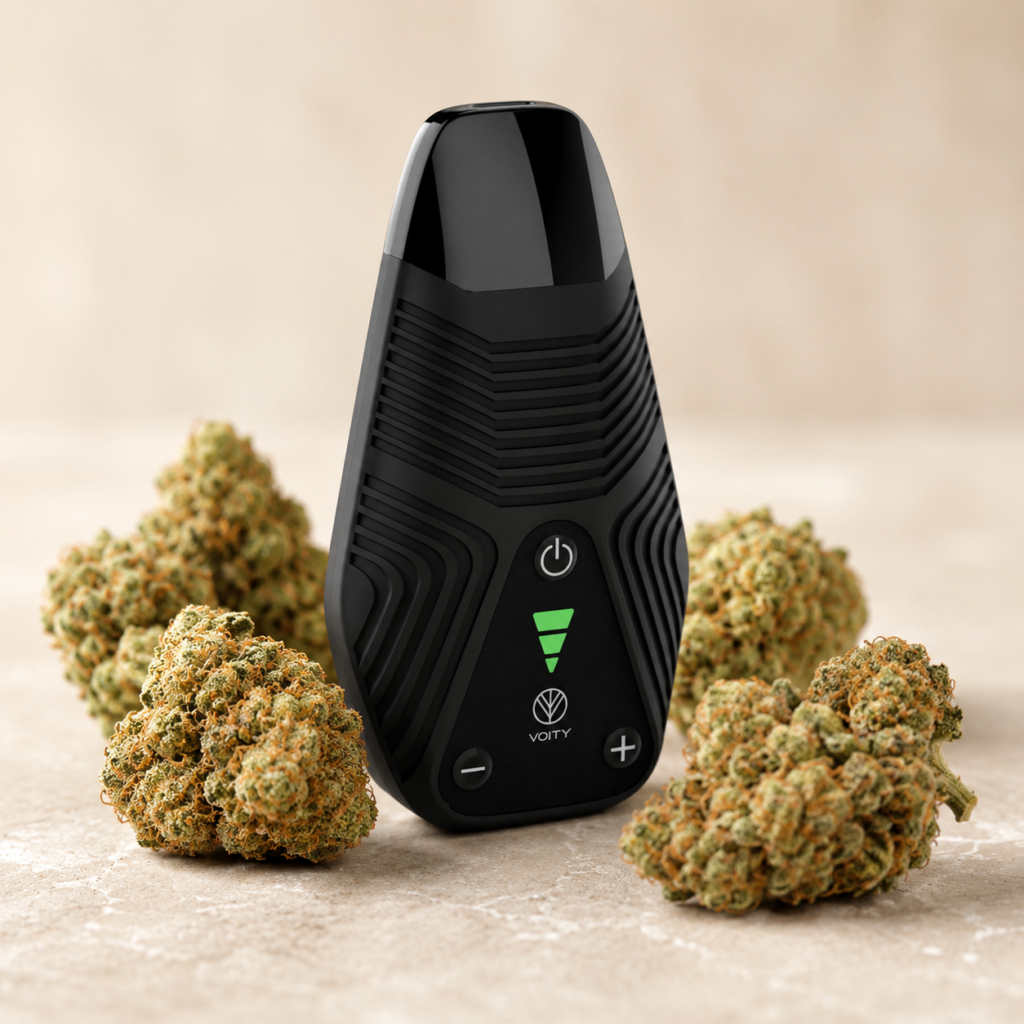 An Norddampf-VOITY- vaporizer next to cannabis flowers